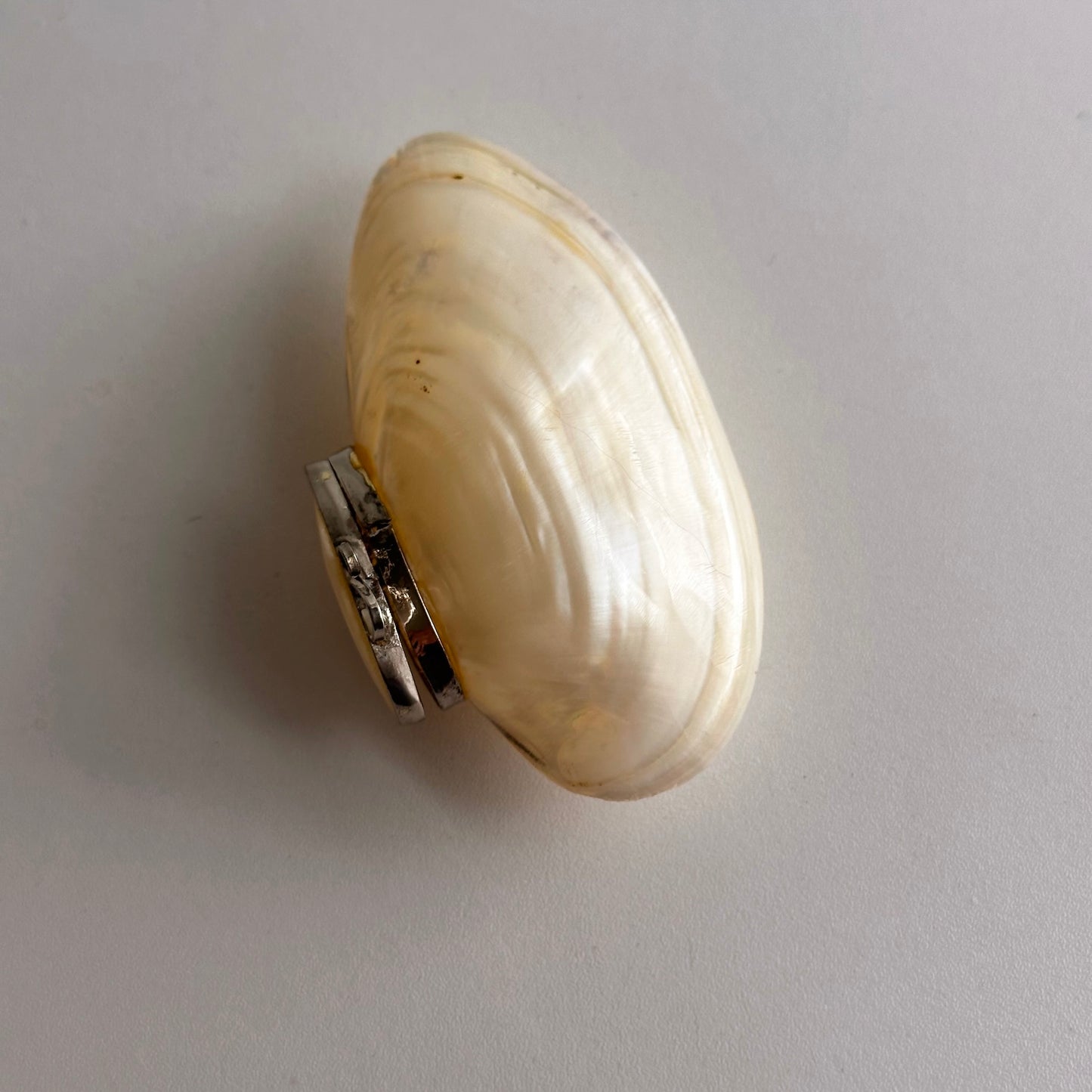 Antique Mother of Pearl Shell Box