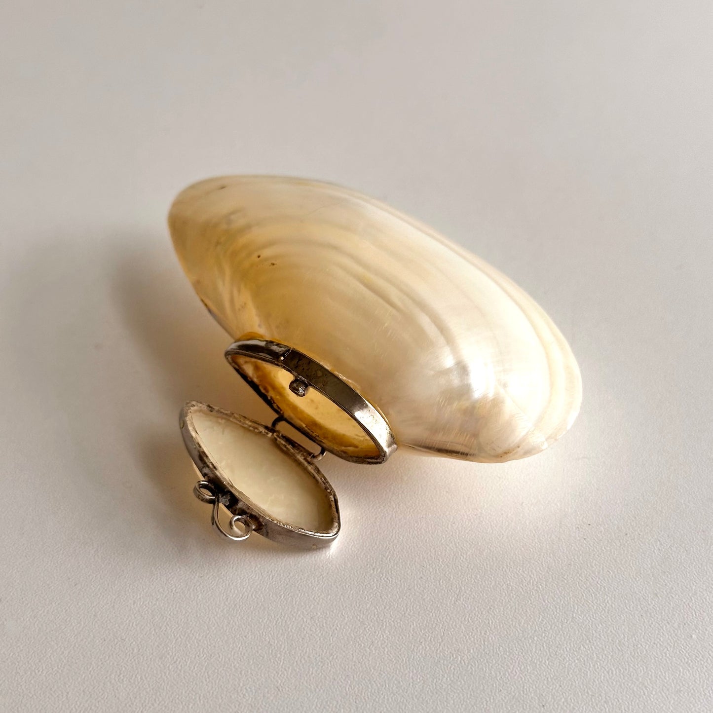 Antique Mother of Pearl Shell Box
