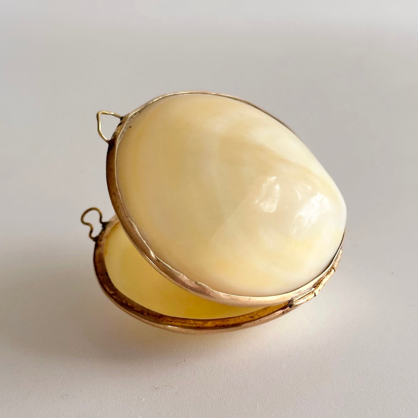 Vintage Shell Pillbox with Brass Edge