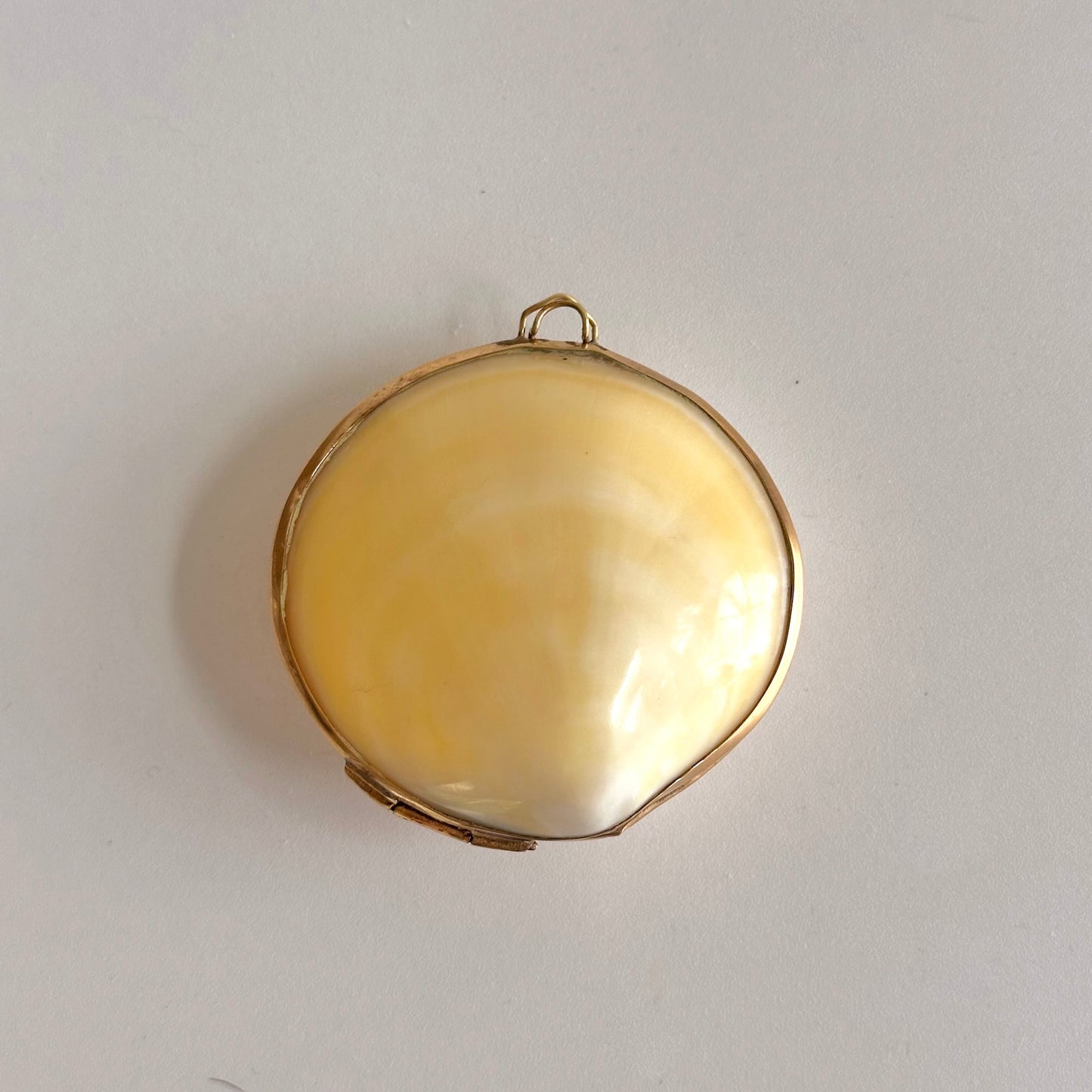 Vintage Shell Pillbox with Brass Edge