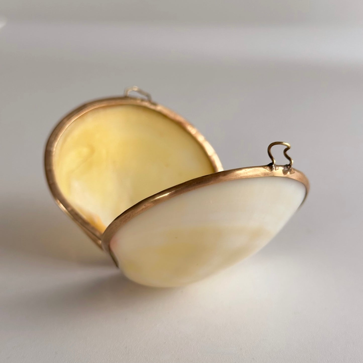 Vintage Shell Pillbox with Brass Edge