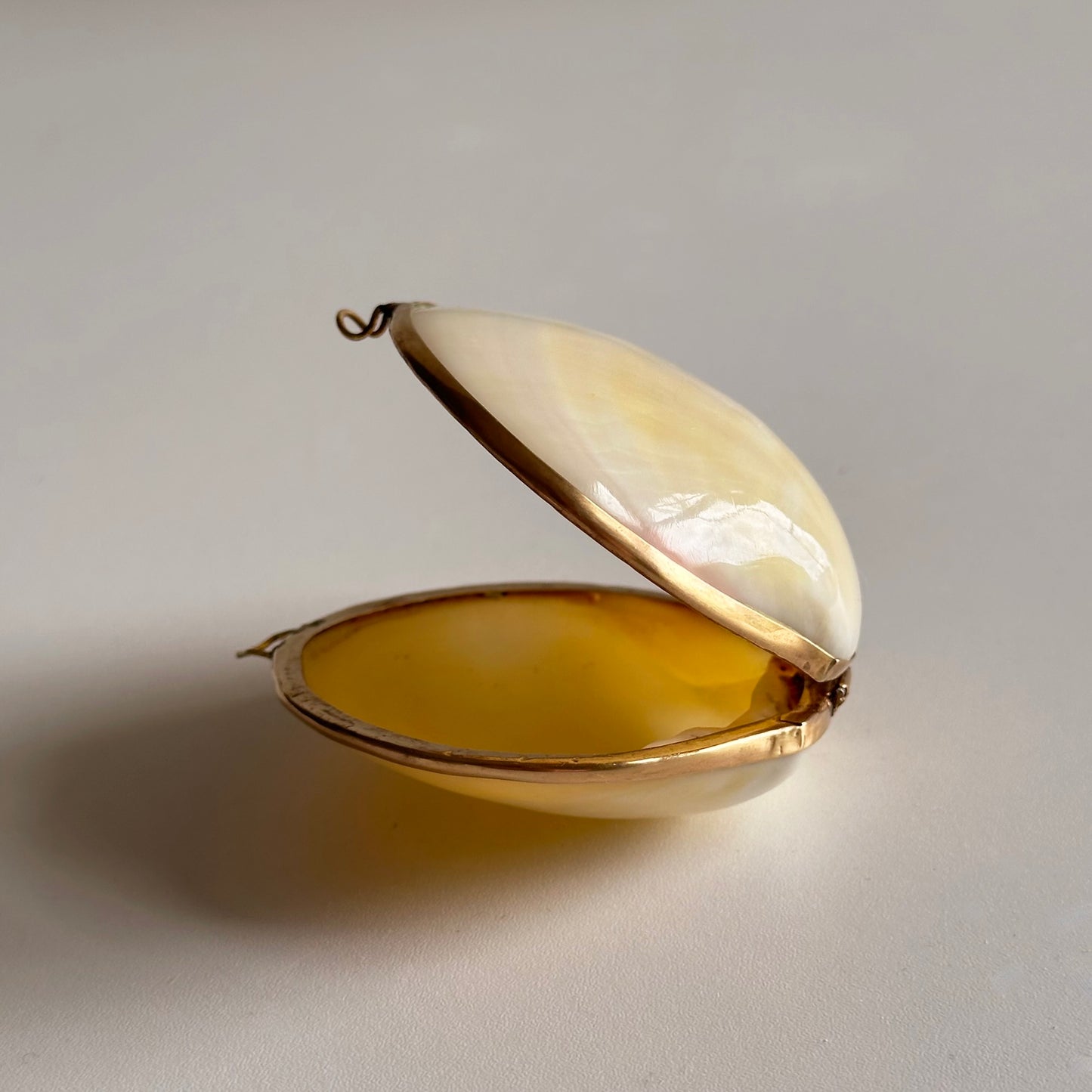 Vintage Shell Pillbox with Brass Edge