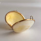 Vintage Shell Pillbox with Brass Edge