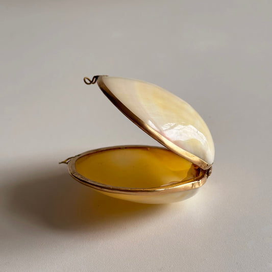 Vintage Shell Pillbox with Brass Edge