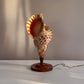 Vintage Handcrafted Triton Conch Lamp on Brass and Wood Base