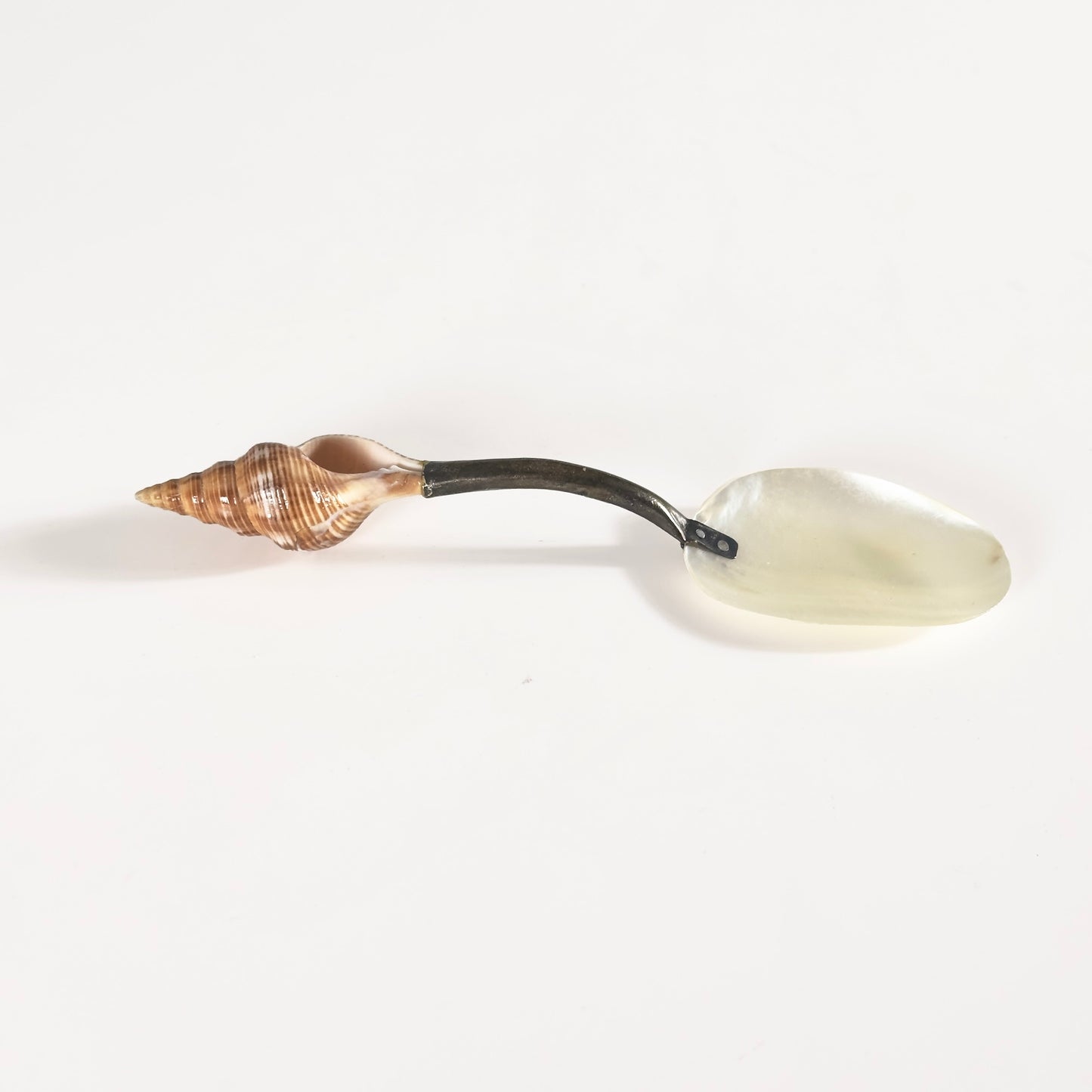 Vintage Shell Spoon