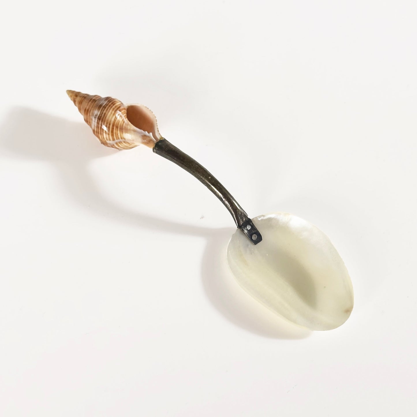 Vintage Shell Spoon